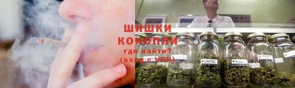 амф Арсеньев