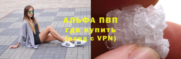 амф Арсеньев