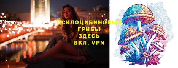 амф Арсеньев